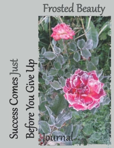 Frosted Beauty, Success Comes Just Before You Give Up: 100 Days To Record Your Journey Toward Success