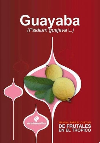Manual para el cultivo de frutales en el trópico. Guayaba
