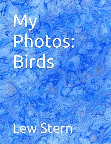 My Photos: Birds