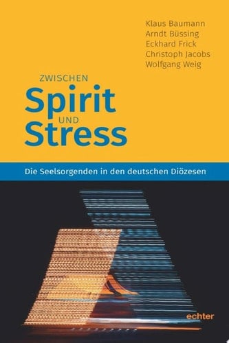 Zwischen Spirit und Stress Die Seelsorgenden in den deutschen Diözesen