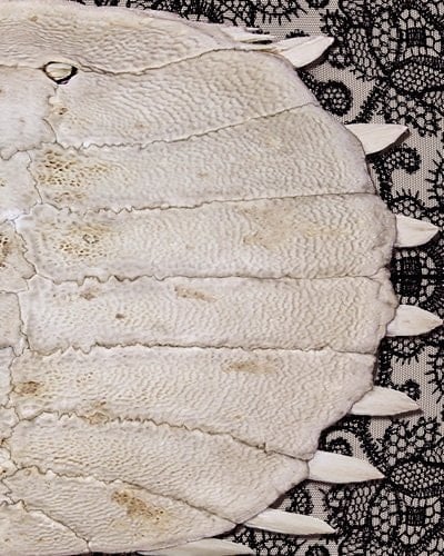 Do Not Ask Me Mel Chin