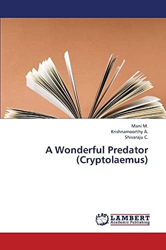 A Wonderful Predator (Cryptolaemus)