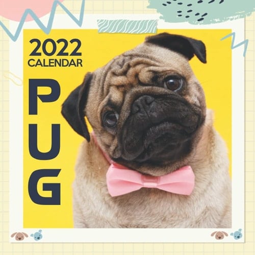 Pug 2022 Calendar: Calendar 2022 - Dog Lover Gift - 12 Months 2022