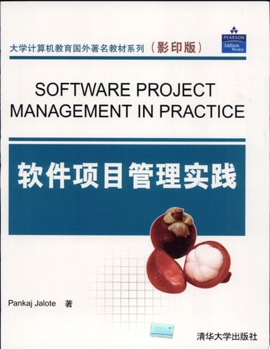 Software Project Management in Practice