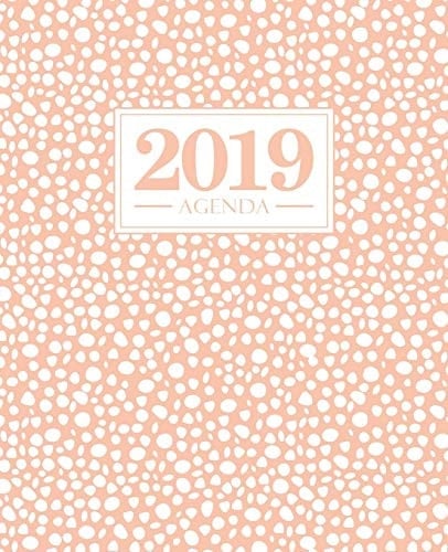 Agenda 2019 19x23cm: Agenda 2019 Semainier: Cercles Roses 5692
