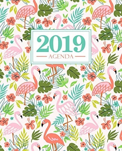 Agenda 2019 19x23cm: Agenda 2019 Settimanale Italiano: Fenicottero Rosa 6286