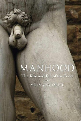 Manhood The Rise and Fall of the Penis