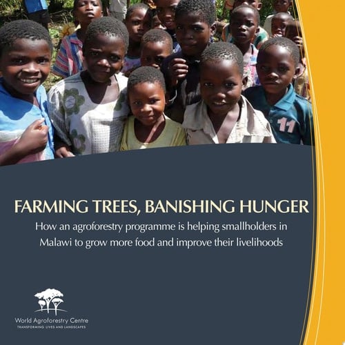 Farming Trees, Banishing Hunger How an Agroforestry Programme is Helping Smallholders in Malawi to Grow More Food and Improve Their Livelihoods