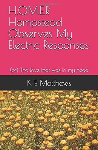 H. O. M. E. R - Hampstead Observes My Electric Responses (or) the Love That Was in My Head