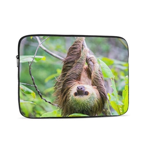 Amor, sexualidad y adolescencia