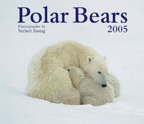 Polar Bears 2005