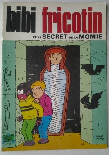 L'organisation du travail dans la câblodistribution au Québec
