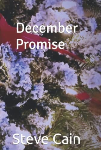 December Promise