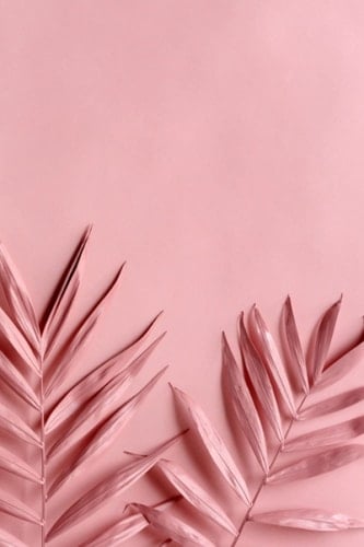 Start Your Day Diary | Write everyday for more mindfulness, clarity, happiness (pink leaves jacket)