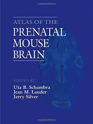 Atlas of the Prenatal Mouse Brain