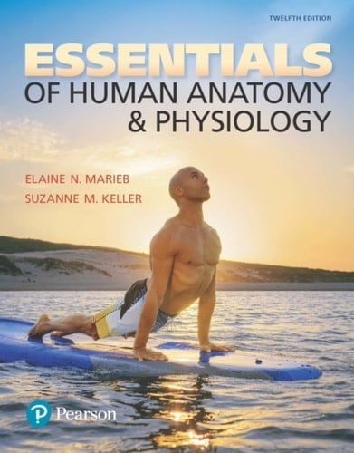 Essentials of Human Anatomy & Physiology Modified Masteringa&p Access Code With Pearson Etext
