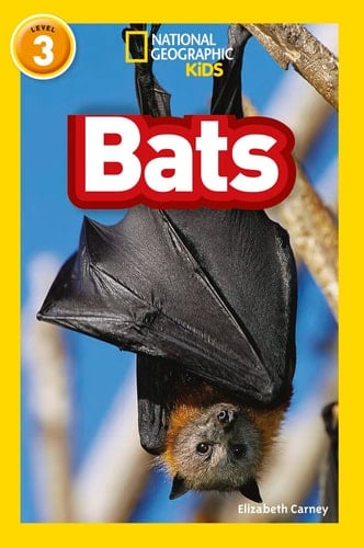 Bats Level 3