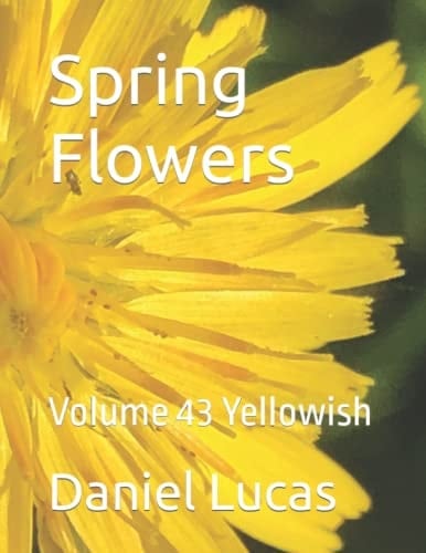 Spring Flowers: Volume 43 Yellowish