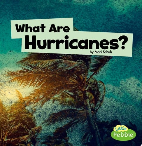 What Are Hurricanes?