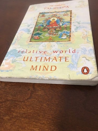 Relative World, Ultimate Mind