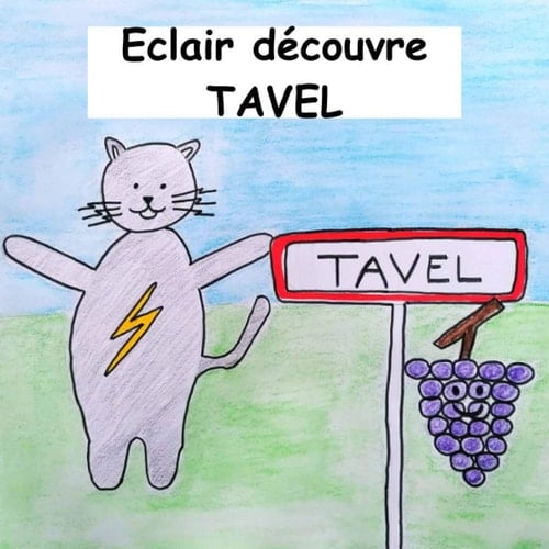 ECLAIR DECOUVRE TAVEL (French Edition)