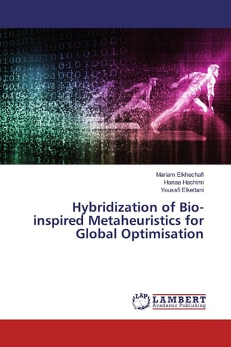 Hybridization of Bio-inspired Metaheuristics for Global Optimisation