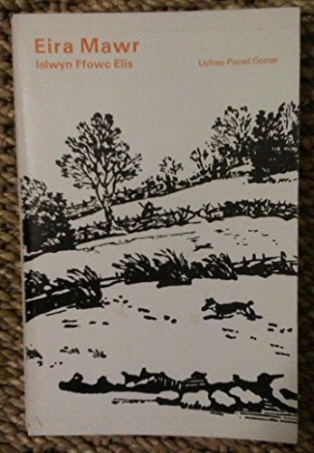 Eira mawr dychmygol yw'r holl gymeriadau yn y nofel hon