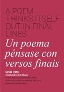 A Poem Thinks Itself Out in Final Lines