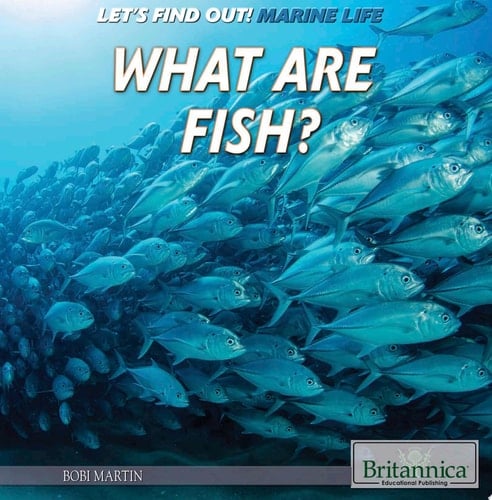 What Are Fish?