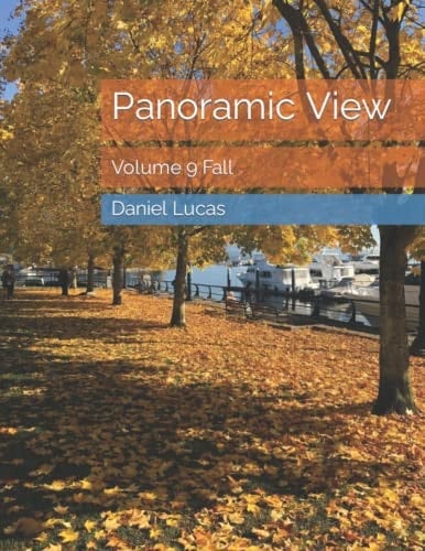 Panoramic View: Volume 9 Fall (Panoramic View 3)