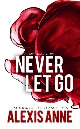 Never Let Go A Storm Inside Novel