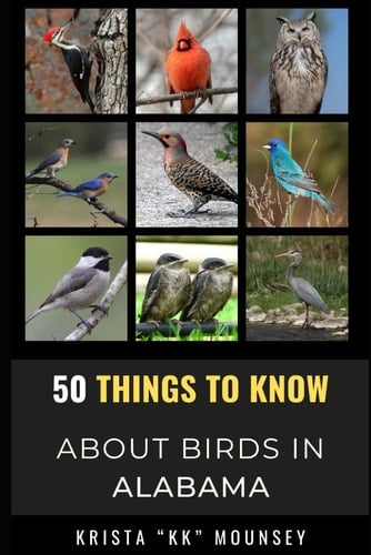 50 Things to Know About Birds in Alabama Birding in the Heart of Dixie