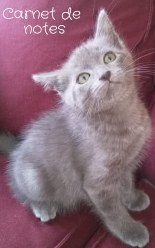 Carnet de notes - chat - 100 pages blanches - 12,7 x 20,3 cm - idée cadeau pour amoureux des chats (French Edition)