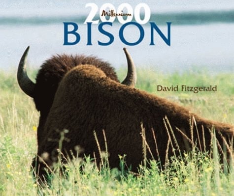 Bison Millennium 2000 (Millenium 2000 Wall Calendars)