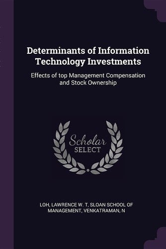 Determinants of Information Technology Investments Effects of Top Management Compensation and Stock Ownership