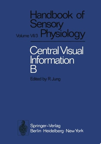 Visual Centers in the Brain