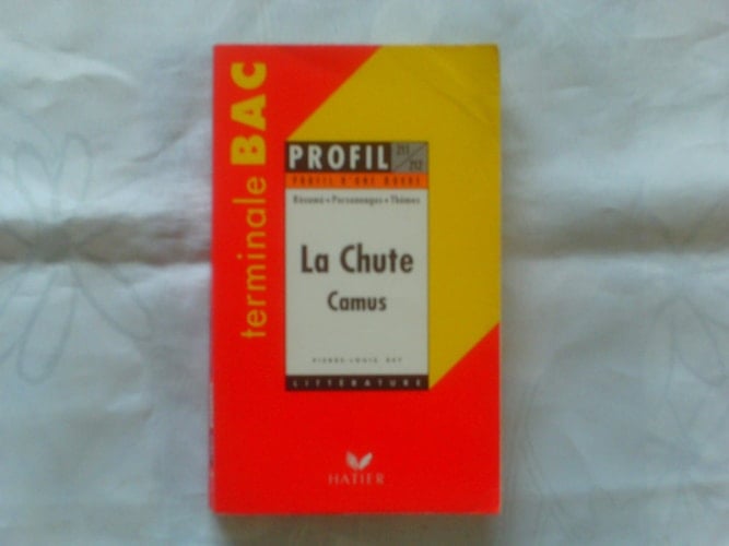 La chute, Camus résumé, personnages, thèmes