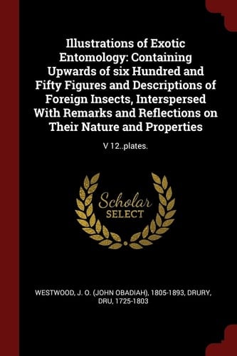 Illustrations of Exotic Entomology Containing Upwards of Six Hundred and Fifty Figures and Descriptions of Foreign Insects, Interspersed with Remarks and Reflections on Their Nature and Properties: V 12. . Plates