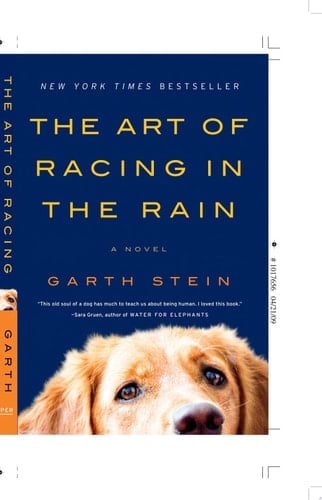The Art of Racing in the Rain