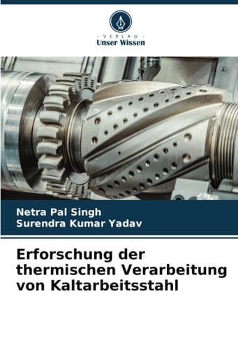 Erforschung der thermischen Verarbeitung von Kaltarbeitsstahl (German Edition)