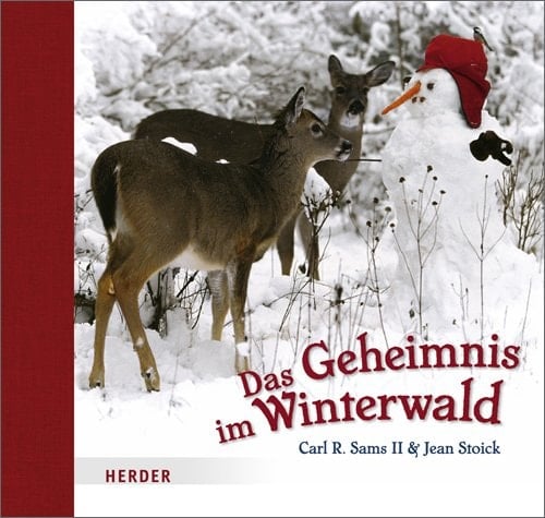Das Geheimnis im Winterwald ein fotografisches Wintermärchen
