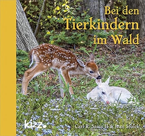 Bei den Tierkindern im Wald