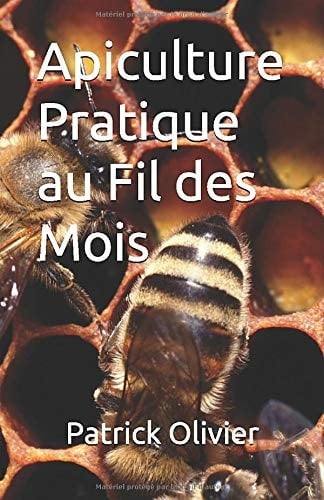Apiculture Pratique au Fil des Mois (French Edition)