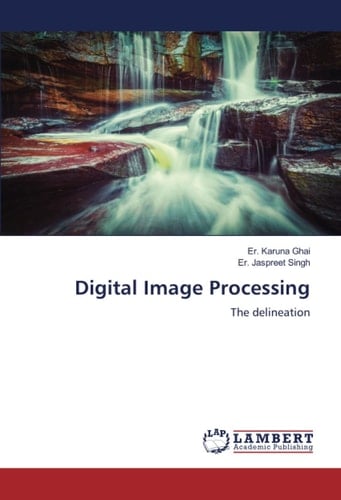 Digital Image Processing The Delineation