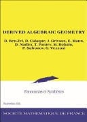 Derived Algebraic Geometry