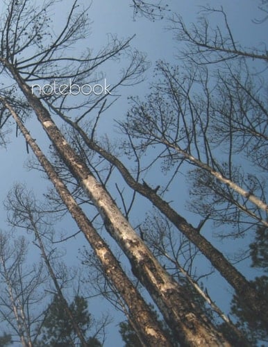 Notebook: College Ruled 110 Pages - Large 8. 5 X 11 Notebook