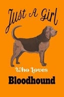 Just a Girl Who Loves Bloodhound Dogs Orange Lined Bloodhound Gifts Notebook Journal for Bloodhound Dog's Mom and Bloodhound Lover - Bloodhound Gifts Journal