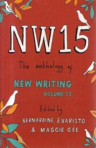 NW15: The Anthology of New Writing (15)