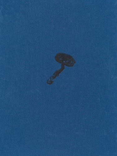 Hong Lei: Chinese Artists of Today The Red Should Languish and Green Must Grow