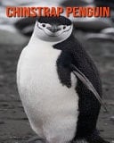 Chinstrap Penguin Beautiful Pictures & Interesting Facts Children Book About Chinstrap Penguin